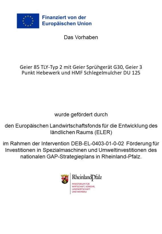 Publizierung Förderung